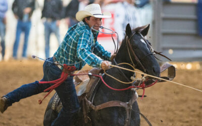 An image of Haven Meged jumping off a black horse with a rope in his hand. He is wearing a green plaid shirt, dark denim jeans, and a straw cowboy hat.