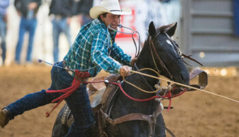Haven Meged Makes The NFR During His Rookie Year!