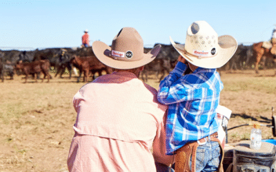 The Arrival of Felt Hat Season