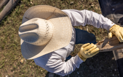 The Changing of the Guard – Felt to Straw